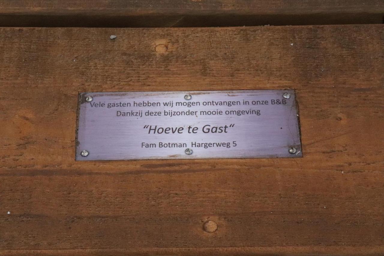 Hoeve Te Gast - Vakantieboerderij Groet Zewnętrze zdjęcie