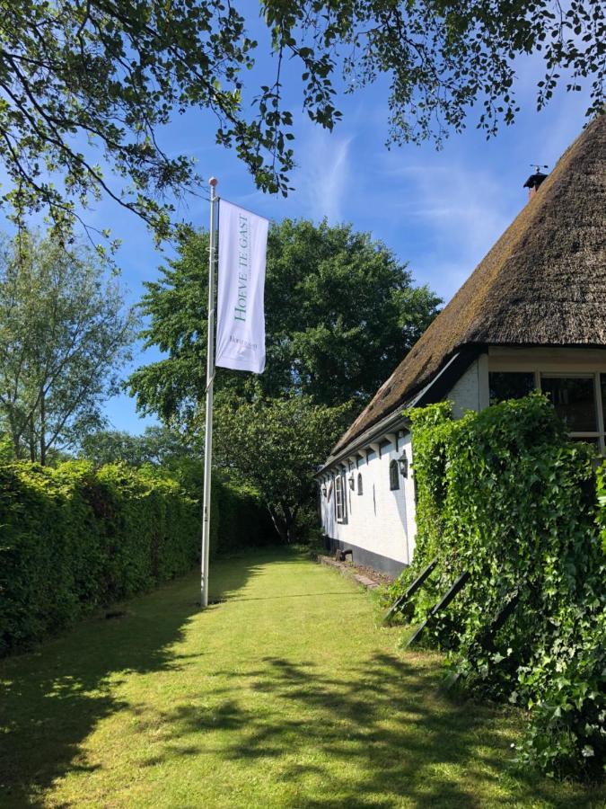 Hoeve Te Gast - Vakantieboerderij Groet Zewnętrze zdjęcie